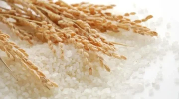 سعر الأرز اليوم 26 نوفمبر يتقلب وسط تراجع الحركة الشرائية